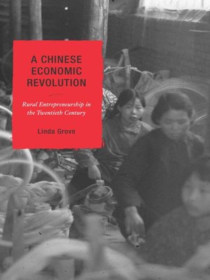 cover image of A Chinese Economic Revolution